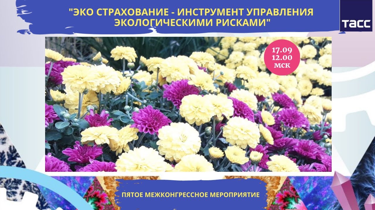 Постер видео