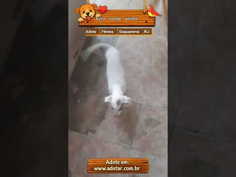 Vídeo de sem nome ainda