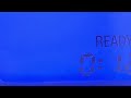 Sesame Street The Number Of The Day 12