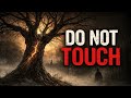 The Witch Tree Of Old Louisville Kentucky S Most Cursed Legend