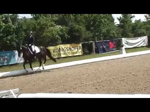 Da Vinci Code dressur Classe A