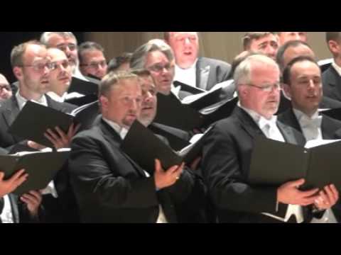 Thy Word is a Lantern