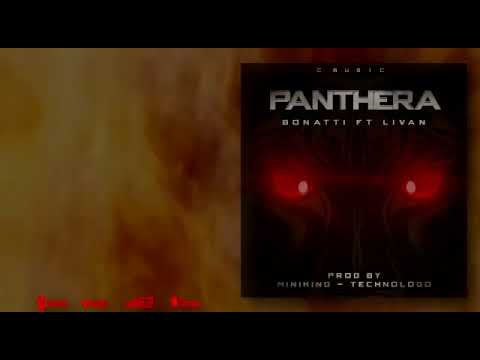 PANTHERA - BonattiPG ft Livan  (Video liric)