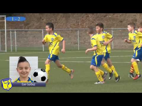 Samenvatting Veluwezoom - csv Apeldoorn