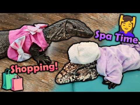 Dewey and Ally go on a Girl's Day Out!