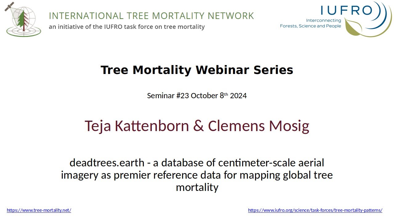 deadtrees.earth - a database of centimeter-scale aerial imagery for mapping global tree mortality