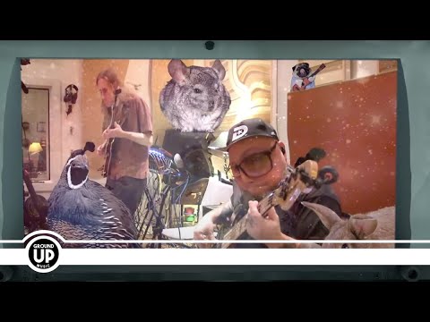 The Funky Knuckles - Back Meetings (Official Music Video)