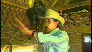 Mi Viejo Llano Inmortal Lyrics English Translation