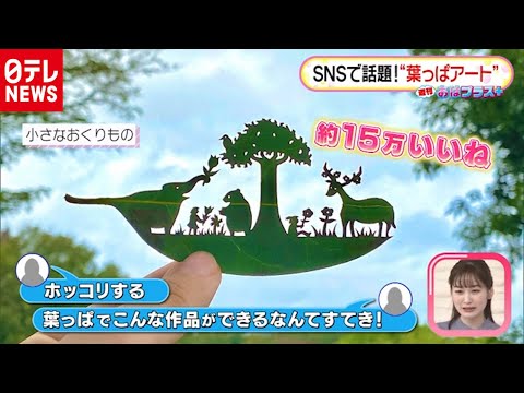 園芸 ヒューシェール、画家の絶望