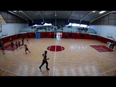 Amuley - Basket Tara 2019