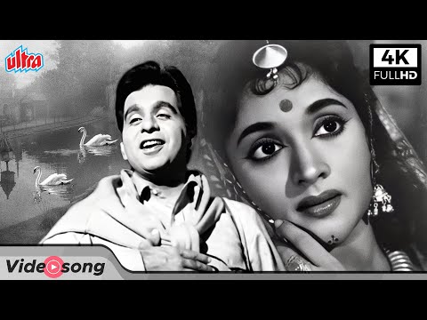 4K | दिलीप कुमार जी का सदाबहार गीत सुहाना सफर और ये मौसम | Suhana Safar Aur Yeh Mausam Classic Song