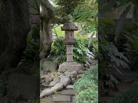 植物構造-織物-柳-植物-キオスク