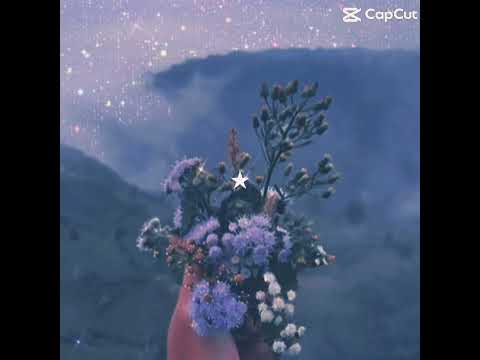 𝓝𝓲𝓰𝓱𝓽 𝓮𝓭𝓲𝓽𝓼 𝔀𝓲𝓽𝓱 𝓯𝓵𝓸𝔀𝓮𝓻𝓼