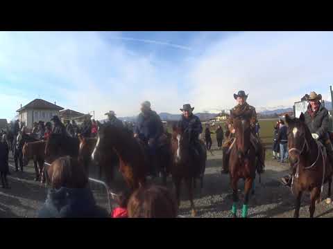 Benedizione dei cavalli 2020 San Francesco al Campo