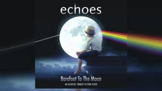 Echoes - Shine On You Crazy Diamond