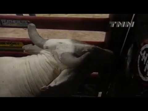 Corey Navarre vs Heart of Gold - 99 PBR Finals (86 pts)