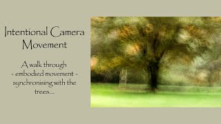 Intentional Camera Movement | Exploring Synchronicity With Nature
