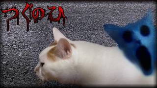 ホラゲーでも猫は可愛かった｜つぐのひ -ねこのひ怪奇譚-