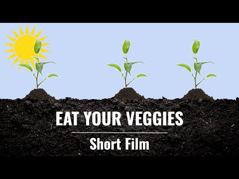 Eat Your Veggies Animated Short Film