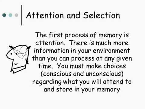 Memory Tricks: How to Remember for Examinations