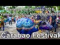 Carabao de Colores 2018 - Carabao Festival in Vallehermoso