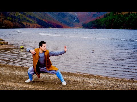 2020 NEW | Total Wellness - Shaolin Kung Fu Workout - Daily 20 Min