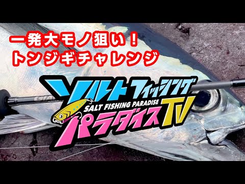 一発大モノ狙い！トンジギチャレンジ（ソルパラTV・第29回2021年4月15日放送）