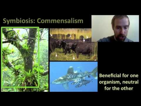 Biology 01-3 Food Webs and Community Interactions