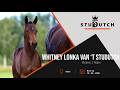Whitney Lonka van t Studutch