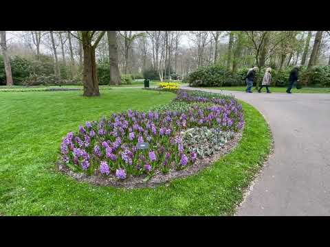 Keukenhof in early April 2022