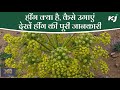 What Is Hing In Hindi Download Audio Mp3 and Mp4