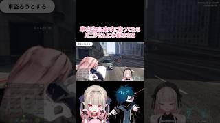 道路走るのにハマってるりりむ #madtown #魔界ノりりむ #vanilla