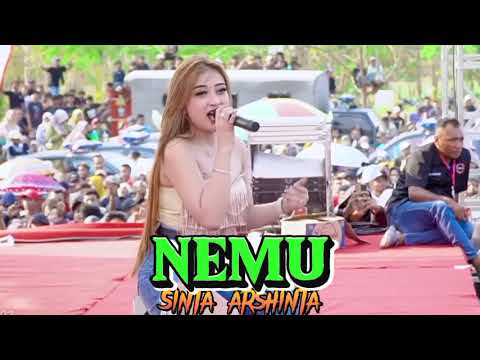 NEMU SHINTA ARSHINTA - SAGITA