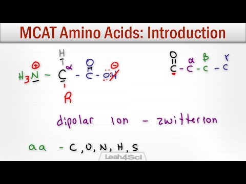 氨基酸結構介紹 電荷分類和反應 (Amino Acids Intro to Structure Charge Classification and Reactions)