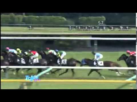 東京優駿　日本ダービー2014