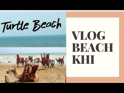 VLOG -  A DAY AT  TURTLE BEACH HAWSKBAY y  WITH ALL FAMILY ALHAMDULILLAH
