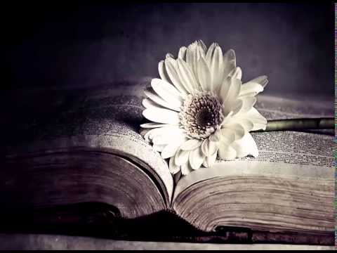 1 HOUR of Emotional Relaxing Music | Flowers in a Riot