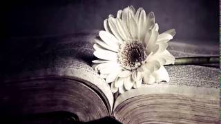 Download lagu 1 HOUR of Emotional Relaxing Music | Flowers in a Riot mp3