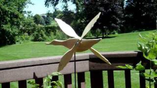 My Maimed Duck&#39;s Prosthetic Wings