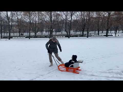 Sánkovanie v Medickej záhrade -Romana Tabak