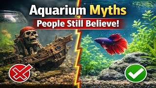 “7 Aquarium Myths Every Fish Owner Must Stop Believing” / Fish Aquarium Tamil