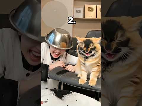 Which one is AI? Level: EASY 😏