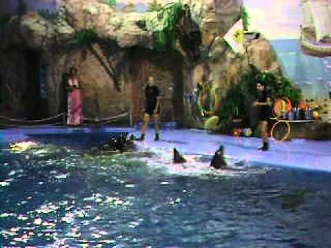 Katja und Slawik im Delphinarium in Odessa 2011