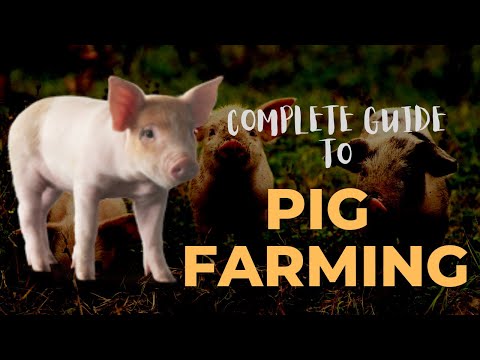 , title : 'The Complete Guide To Raising Pigs'