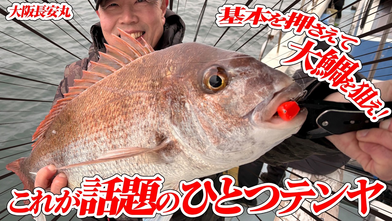 【大阪一つテンヤ】基本を押さえて大鯛を狙え！ゲーム性抜群でハマります・・・