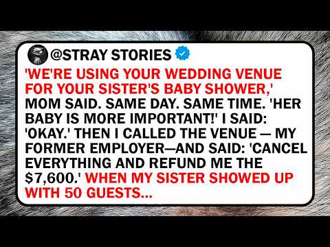 Stray STORIES and Rabbit TALES