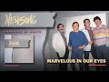 Marvelous In Our Eyes