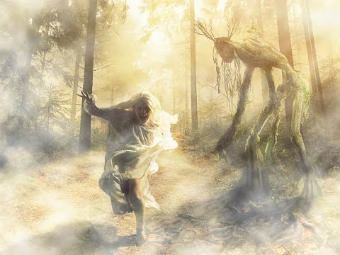 O guardião da floresta      (The Guardian of the Forest)