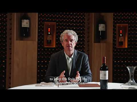 Almaviva. Release 2023.