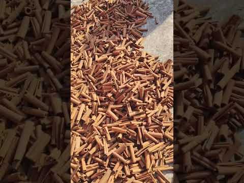 Basmati Rice